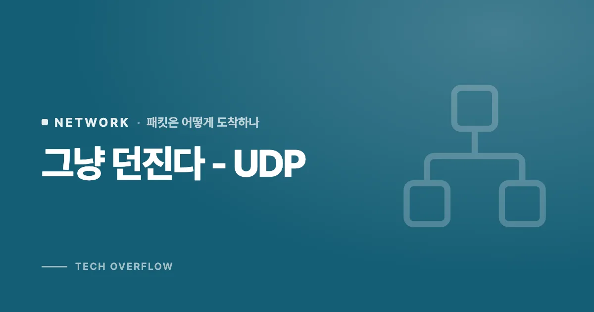그냥 던진다 - UDP